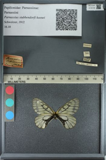 Media type: image;   Entomology 180168